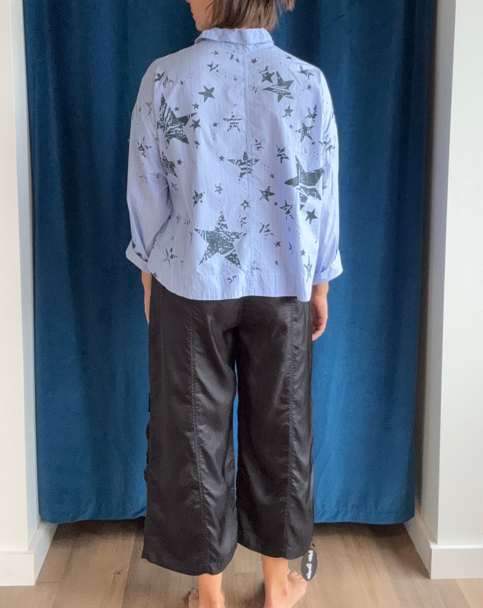 Paper Temples Lo Top in Blue Stripe/Star