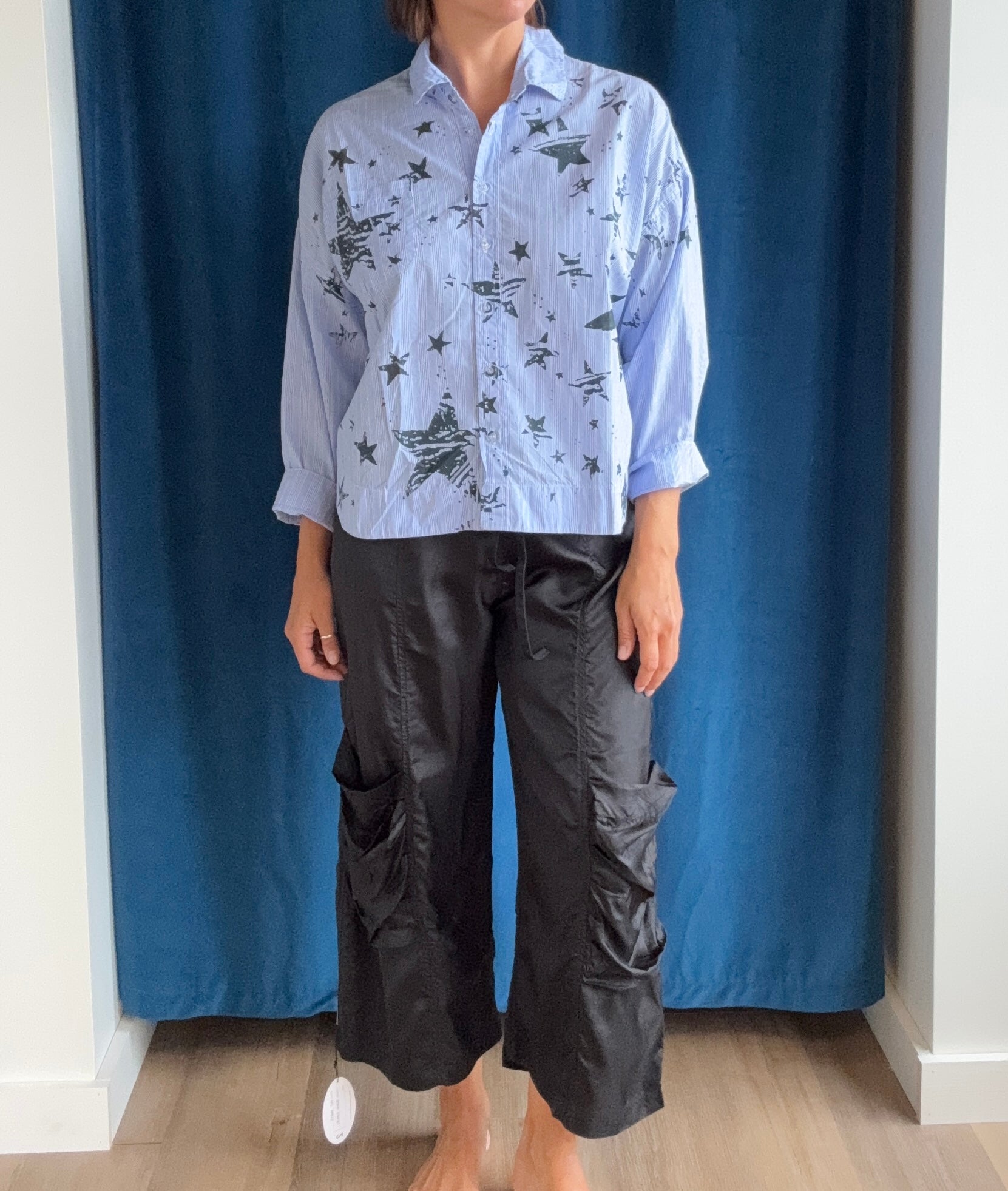 Paper Temples Lo Top in Blue Stripe/Star